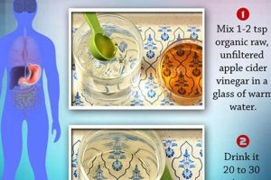 Natural Acid Reflux Herbal Remedy Guide: Relief Now! Safem Fabrication - Precision Engineering & Custom Manufacturing Solutions Natural Acid Reflux Herbal Remedy Guide: Relief Now! | Safem Fabrication - Precision Engineering & Custom Manufacturing Solutions