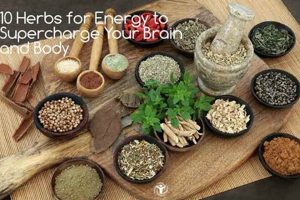 Boost Your Day: Herbal Drinks for Energy & Vitality Safem Fabrication - Precision Engineering & Custom Manufacturing Solutions Boost Your Day: Herbal Drinks for Energy & Vitality | Safem Fabrication - Precision Engineering & Custom Manufacturing Solutions