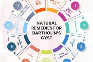 Natural Bartholin Cyst Herbal Remedies: Relief Guide Safem Fabrication - Precision Engineering & Custom Manufacturing Solutions Natural Bartholin Cyst Herbal Remedies: Relief Guide | Safem Fabrication - Precision Engineering & Custom Manufacturing Solutions