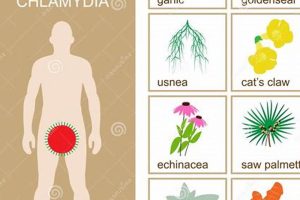 Natural Chlamydia Herbal Treatment: Does it Work? Safem Fabrication - Precision Engineering & Custom Manufacturing Solutions Natural Chlamydia Herbal Treatment: Does it Work? | Safem Fabrication - Precision Engineering & Custom Manufacturing Solutions