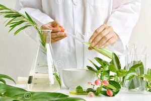 Exploring Modern Herbal Remedies & Beyond Safem Fabrication - Precision Engineering & Custom Manufacturing Solutions Exploring Modern Herbal Remedies & Beyond | Safem Fabrication - Precision Engineering & Custom Manufacturing Solutions
