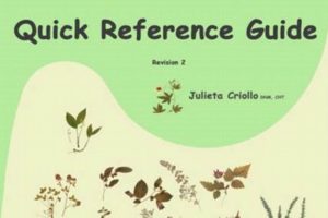 Your Herbal Medicine Guide: A Medicinal Herbal Reference Safem Fabrication - Precision Engineering & Custom Manufacturing Solutions Your Herbal Medicine Guide: A Medicinal Herbal Reference | Safem Fabrication - Precision Engineering & Custom Manufacturing Solutions