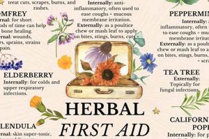 Herbal First Aid Kit Safem Fabrication - Precision Engineering & Custom Manufacturing Solutions Herbal First Aid Kit | Safem Fabrication - Precision Engineering & Custom Manufacturing Solutions