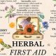 Herbal First Aid Kit | The Ultimate Herbal Remedies Guide: Natural Healing for a Healthier Life