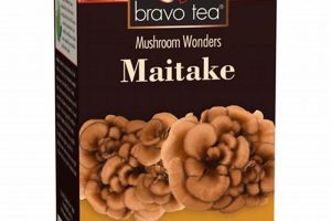 Shop Herbal Tea Online Store Today - [Your Brand] | The Ultimate Herbal Remedies Guide: Natural Healing for a Healthier Life