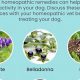 Natural Aid: Herbal Remedies for Dog Seizures & Relief | The Ultimate Herbal Remedies Guide: Natural Healing for a Healthier Life