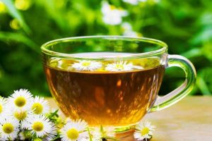 Does Chamomile Tea Herbal? Benefits & More! Safem Fabrication - Precision Engineering & Custom Manufacturing Solutions Does Chamomile Tea Herbal? Benefits & More! | Safem Fabrication - Precision Engineering & Custom Manufacturing Solutions