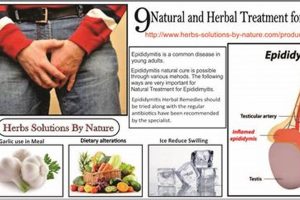 Natural Herbal Remedies for Epididymitis: Relief Guide Safem Fabrication - Precision Engineering & Custom Manufacturing Solutions Natural Herbal Remedies for Epididymitis: Relief Guide | Safem Fabrication - Precision Engineering & Custom Manufacturing Solutions