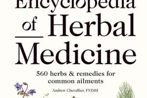 Unlock Herbal Secrets: A Study of Herbal Medicine Guide Safem Fabrication - Precision Engineering & Custom Manufacturing Solutions Unlock Herbal Secrets: A Study of Herbal Medicine Guide | Safem Fabrication - Precision Engineering & Custom Manufacturing Solutions