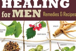 Natural Healing with Herbal Remedies Today Safem Fabrication - Precision Engineering & Custom Manufacturing Solutions Natural Healing with Herbal Remedies Today | Safem Fabrication - Precision Engineering & Custom Manufacturing Solutions