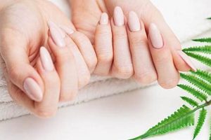 Natural Herbal Spa Nails: Benefits & Bliss Safem Fabrication - Precision Engineering & Custom Manufacturing Solutions Natural Herbal Spa Nails: Benefits & Bliss | Safem Fabrication - Precision Engineering & Custom Manufacturing Solutions