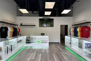 Guide to Asheville Herbal Remedies & Products Safem Fabrication - Precision Engineering & Custom Manufacturing Solutions Guide to Asheville Herbal Remedies & Products | Safem Fabrication - Precision Engineering & Custom Manufacturing Solutions