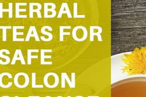 Best Colon Cleanse Herbal Tea: Detox & Relief Now! Safem Fabrication - Precision Engineering & Custom Manufacturing Solutions Best Colon Cleanse Herbal Tea: Detox & Relief Now! | Safem Fabrication - Precision Engineering & Custom Manufacturing Solutions
