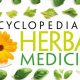 Your Guide to Herbal Medicine: Encyclopedia PDF Download | The Ultimate Herbal Remedies Guide: Natural Healing for a Healthier Life