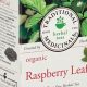 The Power of Herbal Raspberry Leaf Tea - Benefits & Uses | The Ultimate Herbal Remedies Guide: Natural Healing for a Healthier Life
