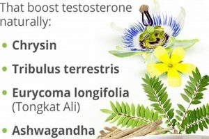 Boost Your Vigor: Best Testosterone Herbal Supplements Today Safem Fabrication - Precision Engineering & Custom Manufacturing Solutions Boost Your Vigor: Best Testosterone Herbal Supplements Today | Safem Fabrication - Precision Engineering & Custom Manufacturing Solutions