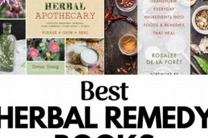 Top Best Herbalism Books: A Guide + Reviews Safem Fabrication - Precision Engineering & Custom Manufacturing Solutions Top Best Herbalism Books: A Guide + Reviews | Safem Fabrication - Precision Engineering & Custom Manufacturing Solutions