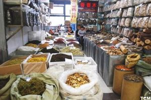 Exploring the Chinese Herbal Market Today! Safem Fabrication - Precision Engineering & Custom Manufacturing Solutions Exploring the Chinese Herbal Market Today! | Safem Fabrication - Precision Engineering & Custom Manufacturing Solutions