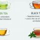 Drink This! What Is The Best Herbal Tea To Drink? Tips | The Ultimate Herbal Remedies Guide: Natural Healing for a Healthier Life