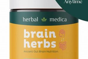 Boost Brain Power: Herbal Medica Brain Herbs Now! Safem Fabrication - Precision Engineering & Custom Manufacturing Solutions Boost Brain Power: Herbal Medica Brain Herbs Now! | Safem Fabrication - Precision Engineering & Custom Manufacturing Solutions