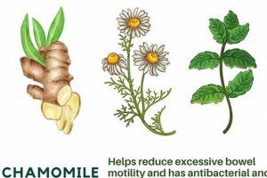 Best Tea: What Herbal Tea is Good for an Upset Stomach? Relief Tips Safem Fabrication - Precision Engineering & Custom Manufacturing Solutions Best Tea: What Herbal Tea is Good for an Upset Stomach? Relief Tips | Safem Fabrication - Precision Engineering & Custom Manufacturing Solutions