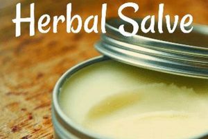 DIY: How to Make Herbal Salves for Natural Relief + Tips Safem Fabrication - Precision Engineering & Custom Manufacturing Solutions DIY: How to Make Herbal Salves for Natural Relief + Tips | Safem Fabrication - Precision Engineering & Custom Manufacturing Solutions
