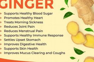 Unlock the Benefits: Ginger Herbal Tea for Health Safem Fabrication - Precision Engineering & Custom Manufacturing Solutions Unlock the Benefits: Ginger Herbal Tea for Health | Safem Fabrication - Precision Engineering & Custom Manufacturing Solutions