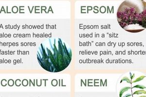 Natural Herpes Herbal Remedies: Relief + Prevention Safem Fabrication - Precision Engineering & Custom Manufacturing Solutions Natural Herpes Herbal Remedies: Relief + Prevention | Safem Fabrication - Precision Engineering & Custom Manufacturing Solutions