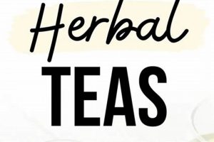 The Secret to Good Tasting Herbal Tea + Recipes Safem Fabrication - Precision Engineering & Custom Manufacturing Solutions The Secret to Good Tasting Herbal Tea + Recipes | Safem Fabrication - Precision Engineering & Custom Manufacturing Solutions