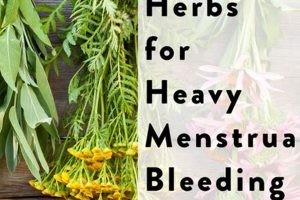 Beware: Herbal Supplements That Increase Bleeding Risk! Safem Fabrication - Precision Engineering & Custom Manufacturing Solutions Beware: Herbal Supplements That Increase Bleeding Risk! | Safem Fabrication - Precision Engineering & Custom Manufacturing Solutions