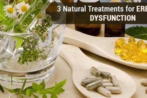 Natural Herbal ED Remedies That Work: Guide Safem Fabrication - Precision Engineering & Custom Manufacturing Solutions Natural Herbal ED Remedies That Work: Guide | Safem Fabrication - Precision Engineering & Custom Manufacturing Solutions