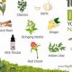 Easy Natural Herbal Detox Guide: Cleanse & Thrive | The Ultimate Herbal Remedies Guide: Natural Healing for a Healthier Life