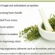 Unlock Thyme Herbal Benefits: A Natural Boost | The Ultimate Herbal Remedies Guide: Natural Healing for a Healthier Life