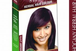 Best Herbal Hair Colour: Natural Dyes & Safe Styles Safem Fabrication - Precision Engineering & Custom Manufacturing Solutions Best Herbal Hair Colour: Natural Dyes & Safe Styles | Safem Fabrication - Precision Engineering & Custom Manufacturing Solutions