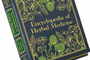 The Complete Herbal Encyclopedia: A Guide to Herbs Safem Fabrication - Precision Engineering & Custom Manufacturing Solutions The Complete Herbal Encyclopedia: A Guide to Herbs | Safem Fabrication - Precision Engineering & Custom Manufacturing Solutions