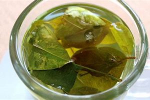 Discover South American Herbal Tea: Benefits & Blends Safem Fabrication - Precision Engineering & Custom Manufacturing Solutions Discover South American Herbal Tea: Benefits & Blends | Safem Fabrication - Precision Engineering & Custom Manufacturing Solutions