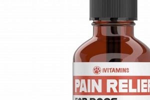 Natural Herbal Pain Relief for Dogs: Safe Options & Info Safem Fabrication - Precision Engineering & Custom Manufacturing Solutions Natural Herbal Pain Relief for Dogs: Safe Options & Info | Safem Fabrication - Precision Engineering & Custom Manufacturing Solutions