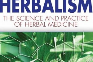 Learn Medical Herbalism: David Hoffmann's Guide Safem Fabrication - Precision Engineering & Custom Manufacturing Solutions Learn Medical Herbalism: David Hoffmann's Guide | Safem Fabrication - Precision Engineering & Custom Manufacturing Solutions