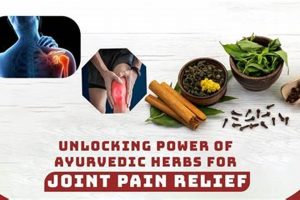 Natural Best Herbal for Joint Pain Relief Today Safem Fabrication - Precision Engineering & Custom Manufacturing Solutions Natural Best Herbal for Joint Pain Relief Today | Safem Fabrication - Precision Engineering & Custom Manufacturing Solutions