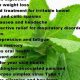 Unlock Mint Herbal Benefits: Uses &amp; More | The Ultimate Herbal Remedies Guide: Natural Healing for a Healthier Life