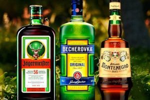 Discover Herbal Liqueur: Elixirs & Botanical Spirits Safem Fabrication - Precision Engineering & Custom Manufacturing Solutions Discover Herbal Liqueur: Elixirs & Botanical Spirits | Safem Fabrication - Precision Engineering & Custom Manufacturing Solutions