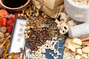 Unlock Ancient Chinese Herbal Remedies Secrets Safem Fabrication - Precision Engineering & Custom Manufacturing Solutions Unlock Ancient Chinese Herbal Remedies Secrets | Safem Fabrication - Precision Engineering & Custom Manufacturing Solutions
