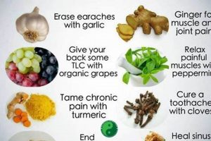 Natural Herbal Remedies for Pain Relief Safem Fabrication - Precision Engineering & Custom Manufacturing Solutions Natural Herbal Remedies for Pain Relief | Safem Fabrication - Precision Engineering & Custom Manufacturing Solutions