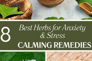 Top: Best Herbal for Anxiety & Natural Relief Safem Fabrication - Precision Engineering & Custom Manufacturing Solutions Top: Best Herbal for Anxiety & Natural Relief | Safem Fabrication - Precision Engineering & Custom Manufacturing Solutions