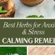Top: Best Herbal for Anxiety & Natural Relief | The Ultimate Herbal Remedies Guide: Natural Healing for a Healthier Life