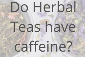 Caffeine & Tea: Does Herbal Tea Have Caffeine In It? Fact Check! Safem Fabrication - Precision Engineering & Custom Manufacturing Solutions Caffeine & Tea: Does Herbal Tea Have Caffeine In It? Fact Check! | Safem Fabrication - Precision Engineering & Custom Manufacturing Solutions
