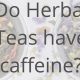Caffeine &amp; Tea: Does Herbal Tea Have Caffeine In It? Fact Check! | The Ultimate Herbal Remedies Guide: Natural Healing for a Healthier Life