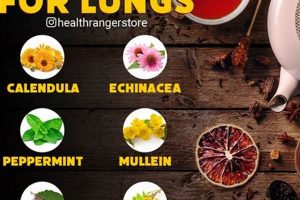 Discover: Best Herbal Tea for Lungs, Naturally! Safem Fabrication - Precision Engineering & Custom Manufacturing Solutions Discover: Best Herbal Tea for Lungs, Naturally! | Safem Fabrication - Precision Engineering & Custom Manufacturing Solutions