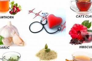 Natural Herbal Medicine for Hypertension Relief Guide Safem Fabrication - Precision Engineering & Custom Manufacturing Solutions Natural Herbal Medicine for Hypertension Relief Guide | Safem Fabrication - Precision Engineering & Custom Manufacturing Solutions