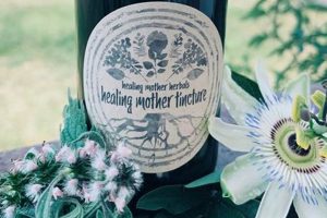 Are Healing Mother Herbals Reviews Legit? Find Out Now! Safem Fabrication - Precision Engineering & Custom Manufacturing Solutions Are Healing Mother Herbals Reviews Legit? Find Out Now! | Safem Fabrication - Precision Engineering & Custom Manufacturing Solutions
